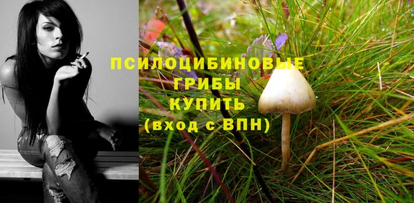 синтетический гашиш Бородино