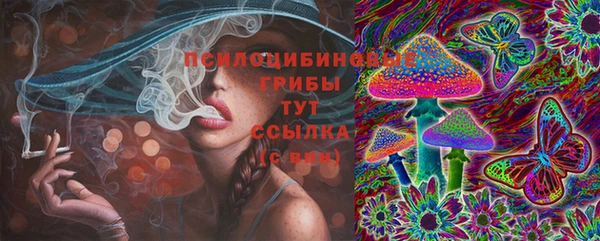 гидропоника Бугульма