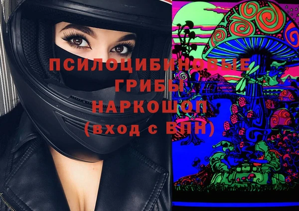 гидропоника Бугульма