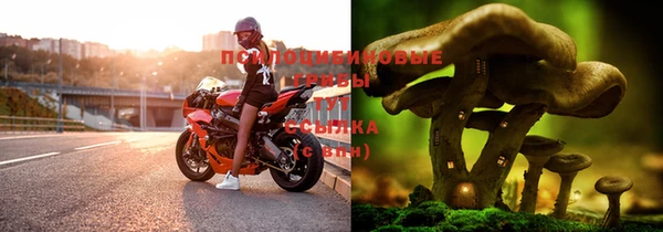 синтетический гашиш Бородино