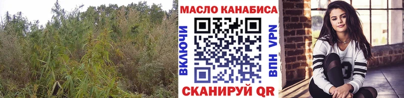Купить где  Татарск  Дистиллят ТГК гашишное масло 