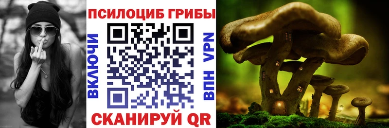 Псилоцибиновые грибы Psilocybe  Купить закладки  Татарск 